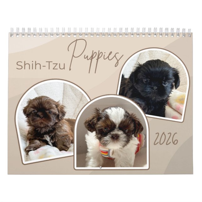 Calendrier de Collage de Photos de Chiots Shih-Tzu (Protection)