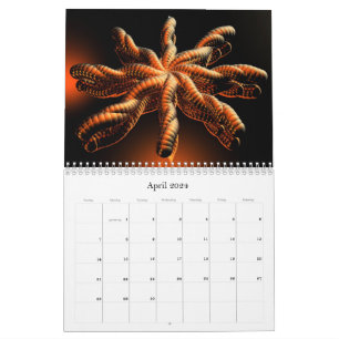 Calendrier de collection 3D 2024