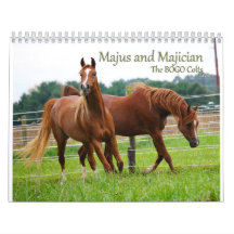 Calendrier de colts de BOGO PICS de 3 ans