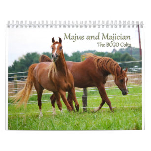 Calendrier de colts de BOGO PICS de 3 ans