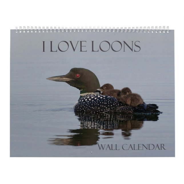 Calendrier de connexion - 14.25 x 11 (grand calend (Protection)