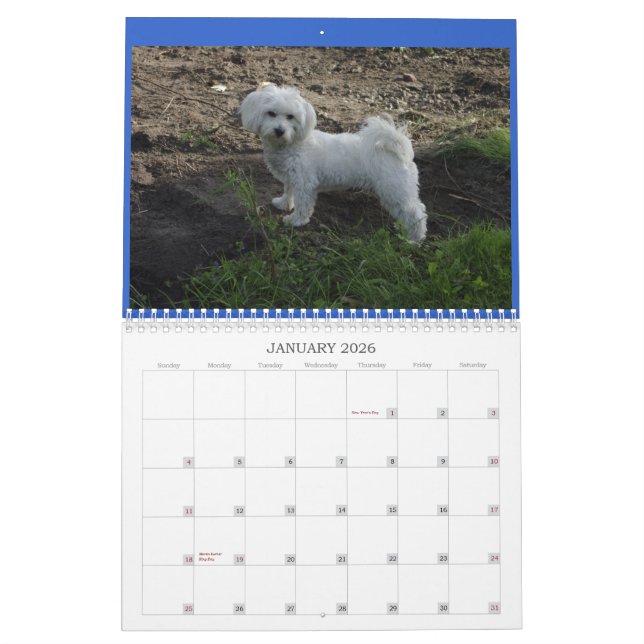 Calendrier de coton (Jan 2026)