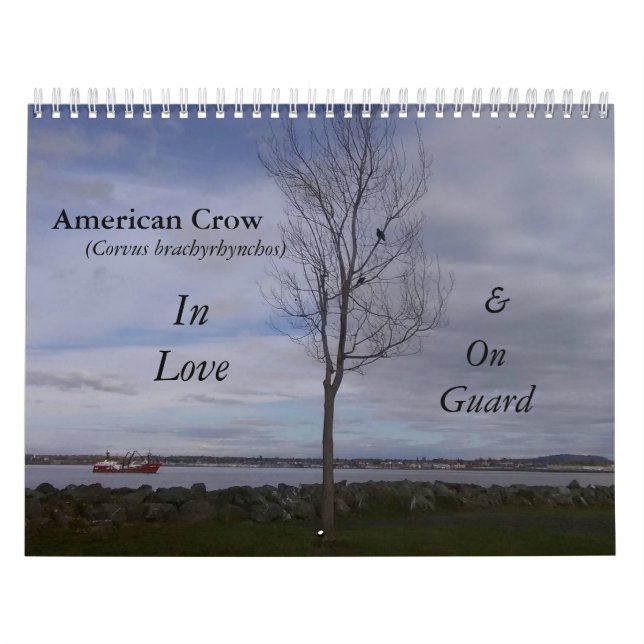 Calendrier de Crow In Love & On Guard (Protection)