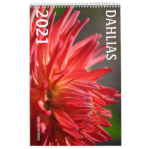 CALENDRIER DE DAHLIA 2021