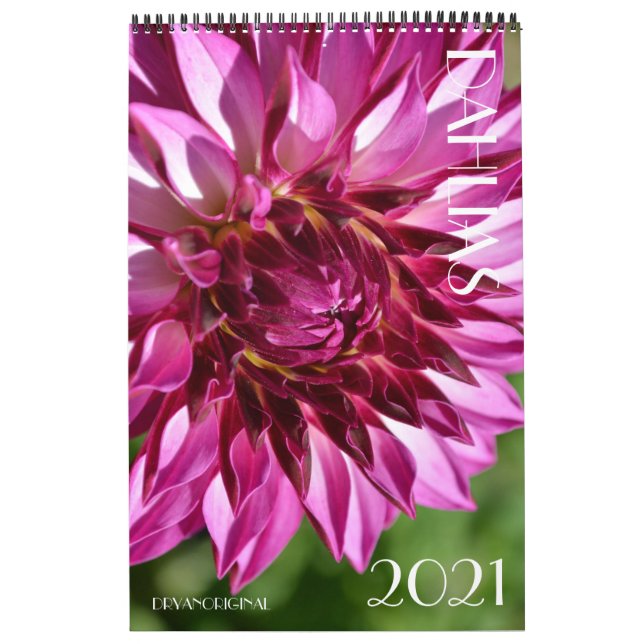 CALENDRIER DE DAHLIA 2021 (Protection)