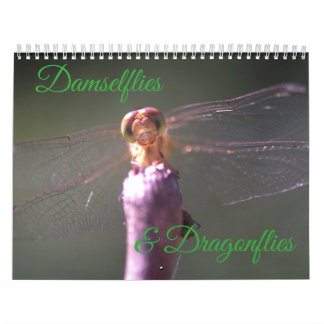 Calendrier de Damselflies et de libellules