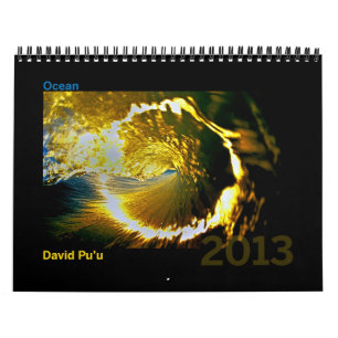 Calendrier de David Pu'u 2013 : Océan