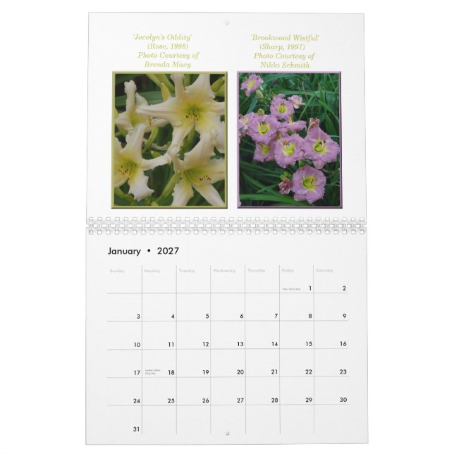 Calendrier de Daylily de 2015 AHS (Jan 2027)