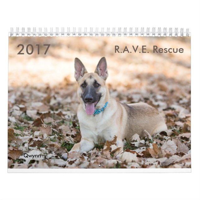 Calendrier de délivrance de 2017 R.A.V.E. (Protection)