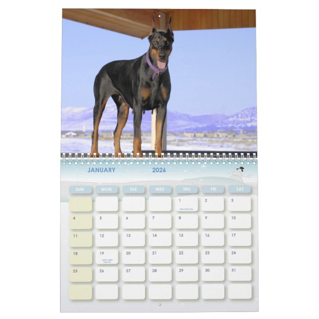 Calendrier de dobermann (Jan 2026)