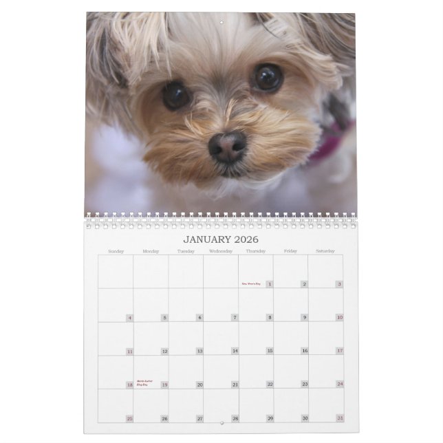 Calendrier de douze mois de la lucette 2015 de (Jan 2026)