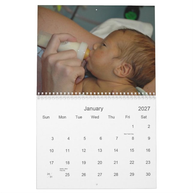 Calendrier de famille de cochonnée - 2008 (Jan 2027)