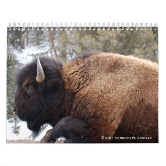 Calendrier de faune