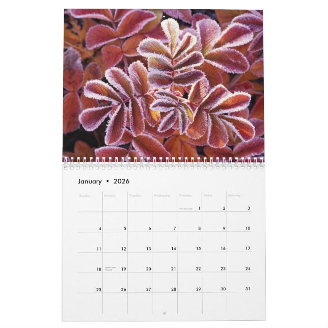 Calendrier de faune (Jan 2026)