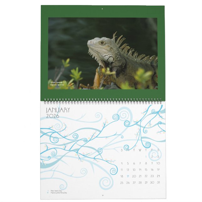 calendrier de faune - 2012 (Jan 2026)