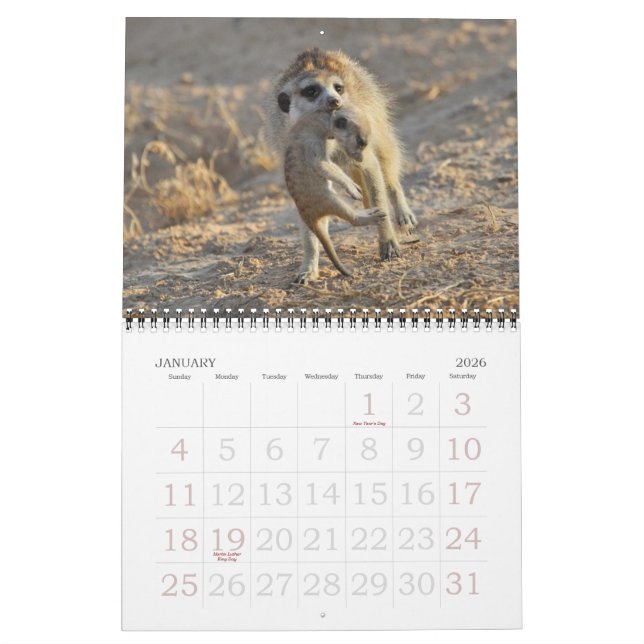 Calendrier de FKMP Meerkats 2013 (Jan 2026)