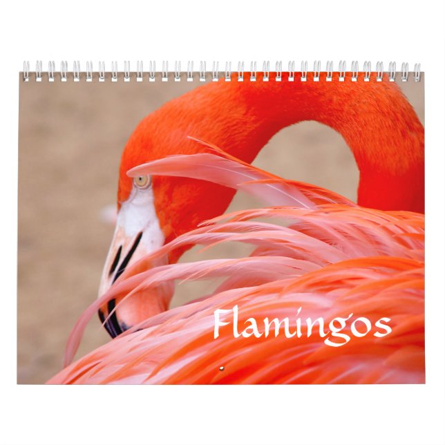Calendrier de Flamant rose (Protection)