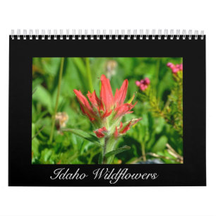 Calendrier de fleur sauvage de l'Idaho