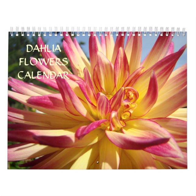 Calendrier de fleurs de dahlia Calendrier de burea (Protection)