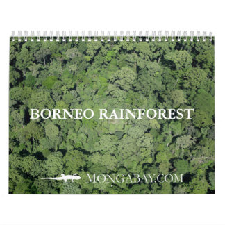 Calendrier de forêt tropicale du Bornéo