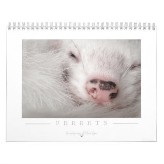 Calendrier de furet - 2ème édition