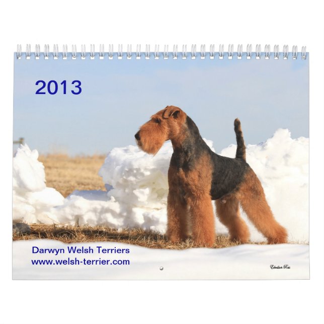 Calendrier de gallois Terrier 2013 par Darwyn (Protection)