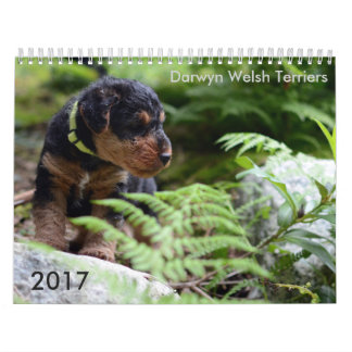 Calendrier de gallois Terrier 2017 par Darwyn