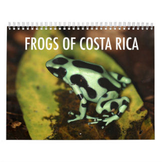 Calendrier de grenouilles du Costa Rica