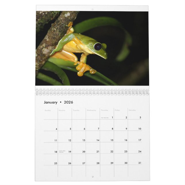 Calendrier de grenouilles du Costa Rica (Jan 2026)