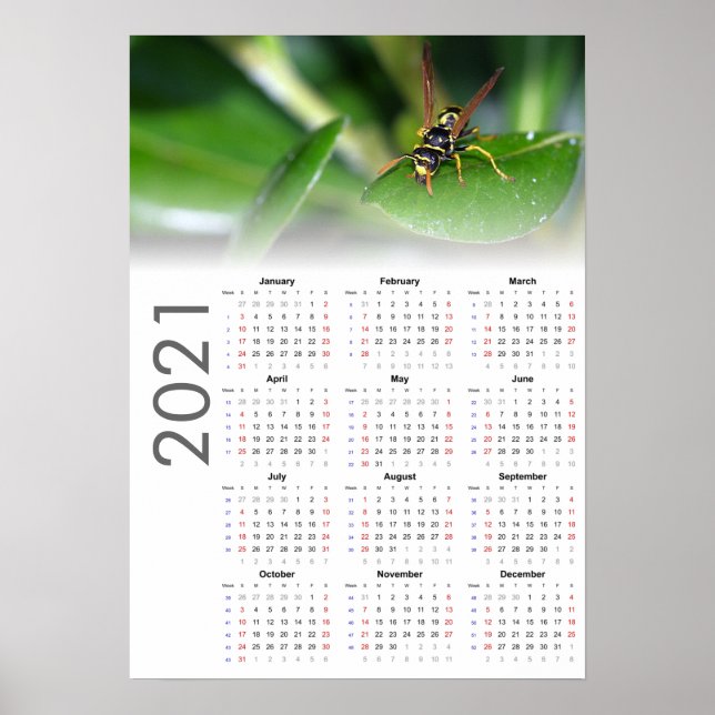 Calendrier de guêpe 2021 Poster - Début de dimanch (Devant)