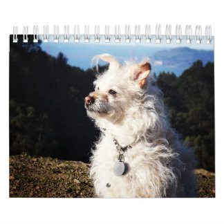 Calendrier de Gwendolyn 2016