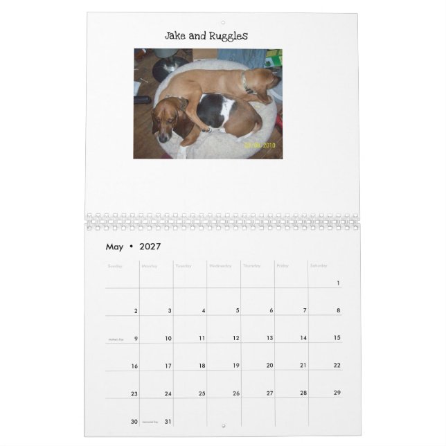 Calendrier de hachage des actifs (Mai 2027)