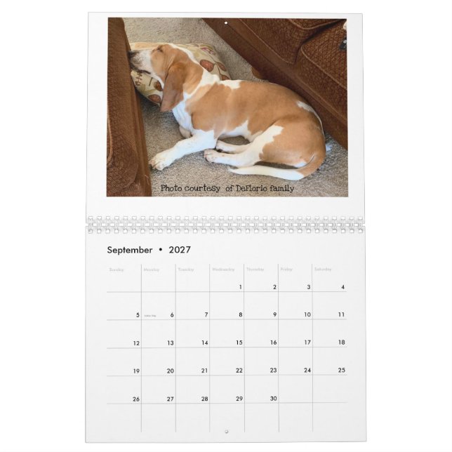 Calendrier de hachage des actifs (Sep 2027)