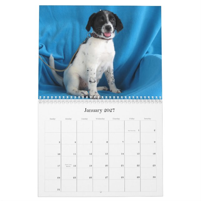 Calendrier De Harlan aux mains sûres (Jan 2027)