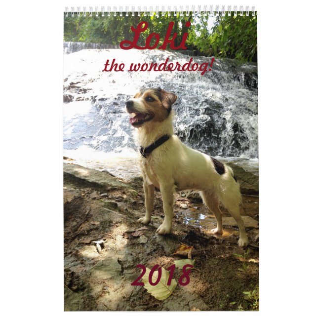 Calendrier de Jackrussell (Protection)
