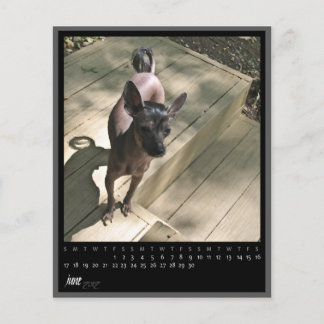 calendrier de juin 2012