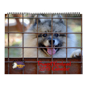 Calendrier de Keeshond de 2019 trompettes
