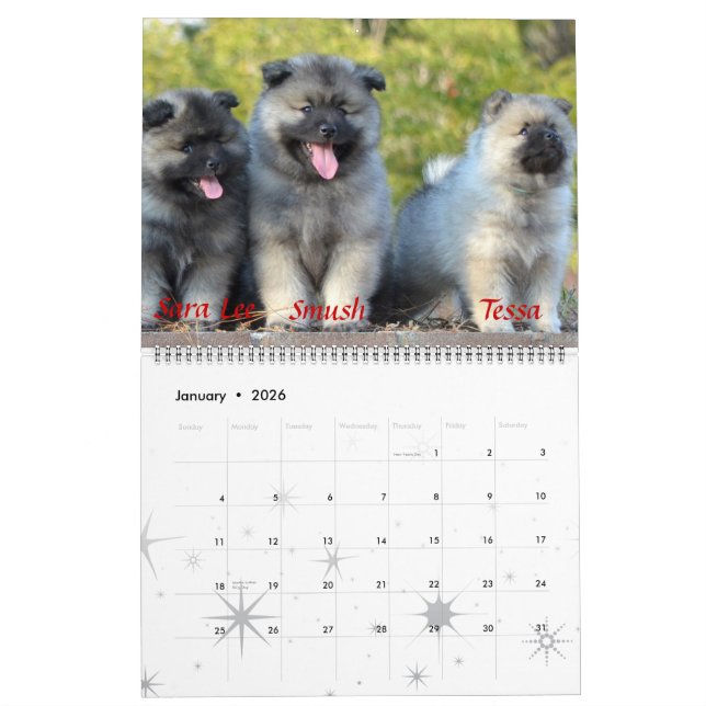 Calendrier de Keeshond de trompette (Jan 2026)