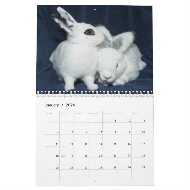 Calendrier de la base 2013 de lapin de Los Angeles (Jan 2026)