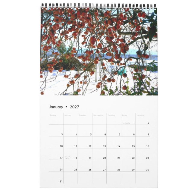 Calendrier de la campagne japonaise (Jan 2027)