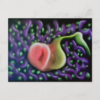 Calendrier de la carte postale Soul 37