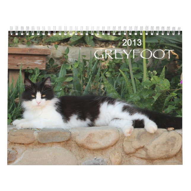 Calendrier de la délivrance 2013 de chat de (Protection)