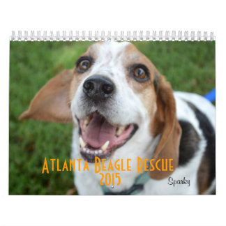 Calendrier de la délivrance 2015 de beagle