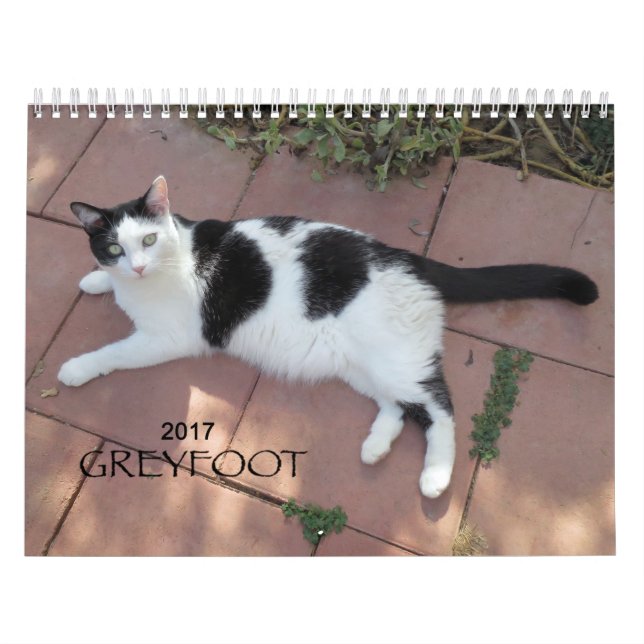 Calendrier de la délivrance 2017 de chat de (Protection)