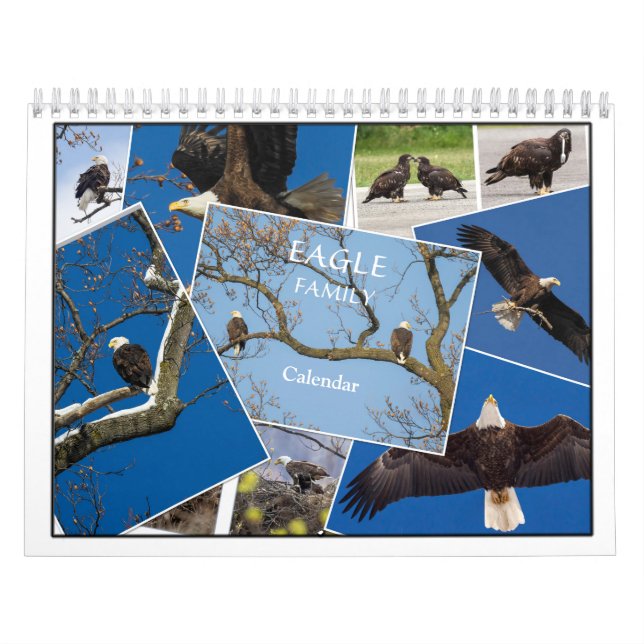 Calendrier de la famille Eagle (Protection)