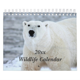 Calendrier de la faune