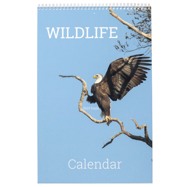 Calendrier de la faune (Protection)
