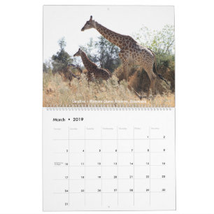 Calendrier de la faune