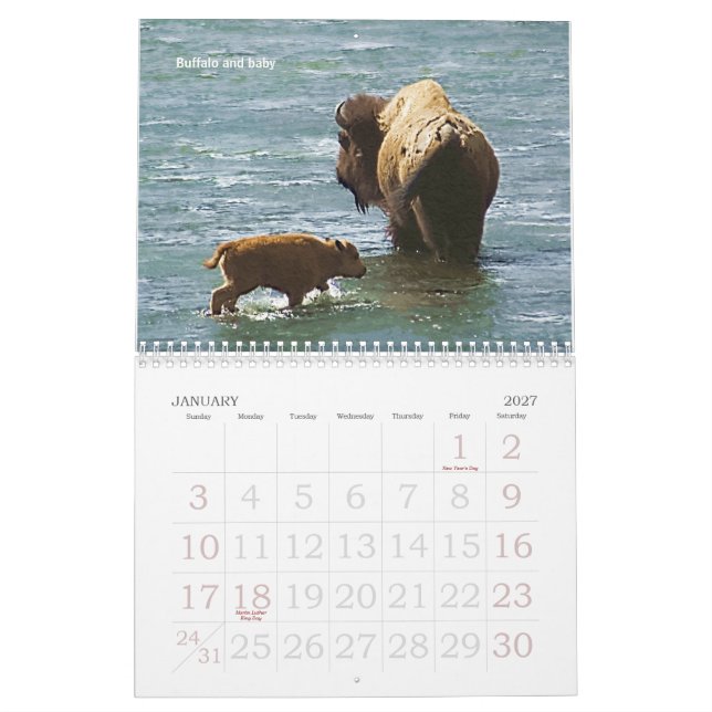 Calendrier de la faune 2008 de Yellowstone (Jan 2027)