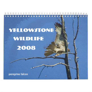 Calendrier de la faune 2008 de Yellowstone